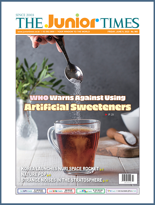 The Junior Times